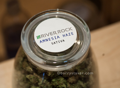 marijuana buds, river rock